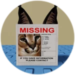 You Found Missing Floppa!
