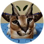 You Found Moth Floppa!