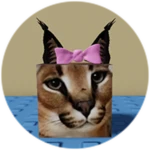You Found Ms. Floppa!