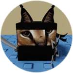 You Found Ninja Floppa!