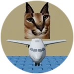 You Found Passenger Plane Floppa!