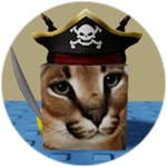 You Found Pirate Floppa!
