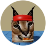 You Found Pizza Floppa!