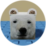 You Found Polar Bear Cube!