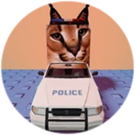 You Found Police Car Floppa!