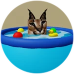 You Found Pool Floppa!