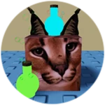 You Found Potion Floppa!