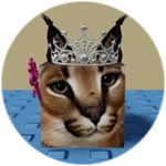 You Found Princess Floppa!