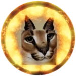 You Found Ring Of Fire Floppa!
