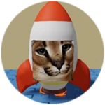 You Found Rocket Floppa!