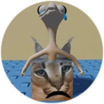 You Found Sad Orange Friend Floppa!