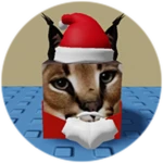 You Found Santa Floppa!