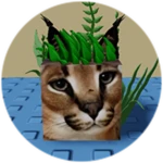You Found Seaweed Floppa!