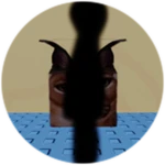 You Found Shadow Floppa!