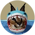 You Found Shark Floppa!