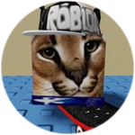 You Found Skater Floppa!