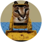 You Found Skidsteer Floppa!