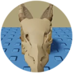 You Found Skull Floppa!