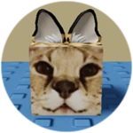 You Found Sogga Cube!