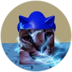 You Found Sonic Floppa!