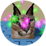 You Found Sparkle Floppa!