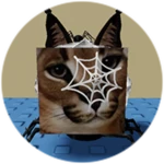 You Found Spider Web Floppa!