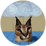 You Found Storm Floppa!
