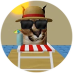 You Found Summer Floppa!