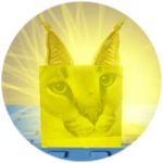 You Found Sun Floppa!