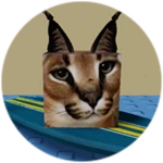 You Found Surfboard Floppa!