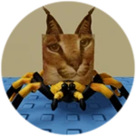 You Found Tarantula Floppa!