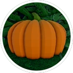 You found the pumpkin
