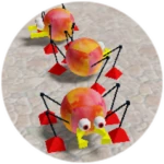 You found the scuttlebug jamboree