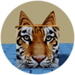 You Found Tiger Cube!