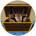 You Found Treasure Floppa!