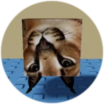 You Found Upside Down Floppa!