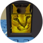 You Found Vault Floppa!