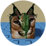 You Found Vine Floppa!