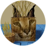 You Found Wheat Floppa!