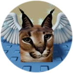 You Found Wing Floppa!