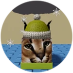 You Found Winter Floppa!
