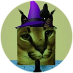 You Found Witch Floppa!