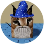 You Found Wizard Floppa!