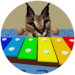 You Found Xylophone Floppa!