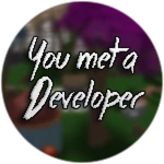 You met a Developer