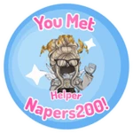 💖 You met Helper ‘Napers200’!