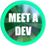 You Met The Developer