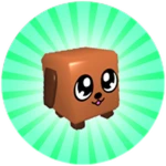 Your First Pet