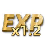1.2 x Exp