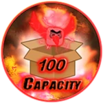 +100 Capacity